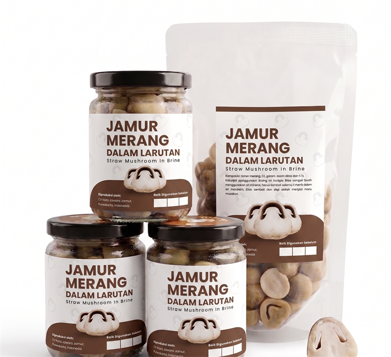 Jamur Bleaching